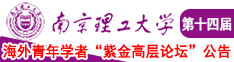 被艹插视频南京理工大学第十四届海外青年学者紫金论坛诚邀海内外英才！